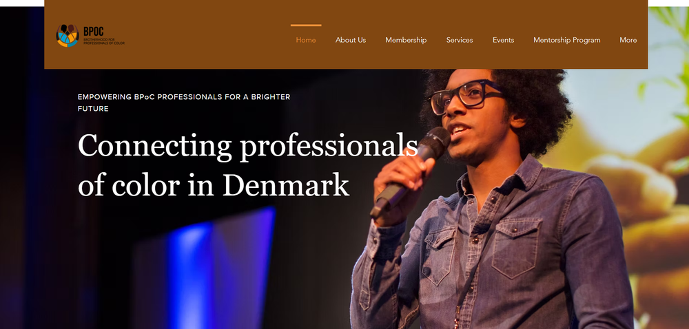 BPOC Connecting Professionals of Color in Denmark